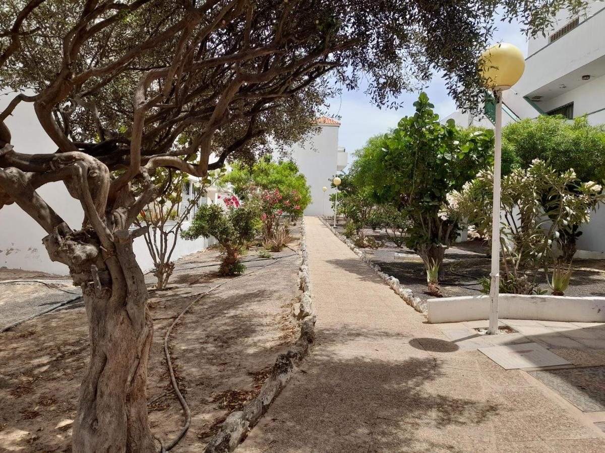 דירות קוסטה דה אנטיגואה Casa Rebecca מראה חיצוני תמונה